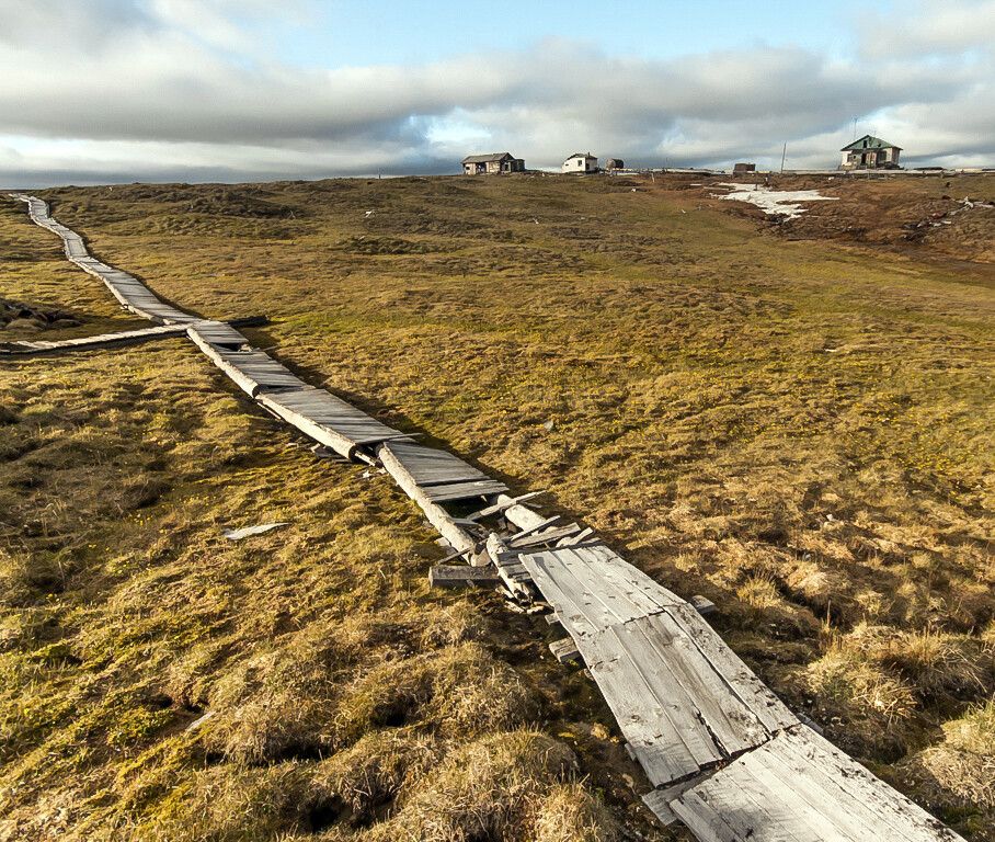 Russland Wrangel Island • Sibirische Inseln • FranzJosefLand
